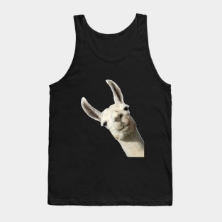 Llama Alpaca Party Cute Llama Lovers Picture Tank Top